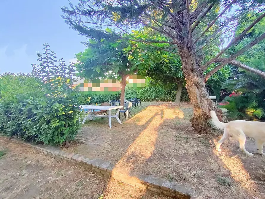 Immagine 9 di Villa in vendita  a San Giuliano Terme