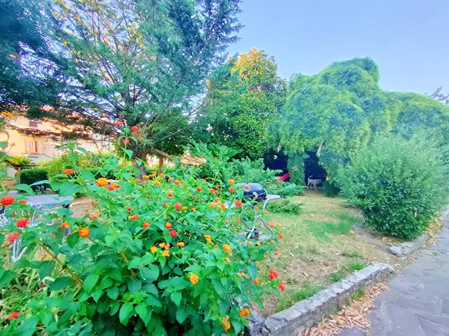 Immagine 11 di Villa in vendita  a San Giuliano Terme