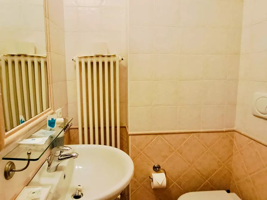 Immagine 21 di Locale commerciale in vendita  a Viareggio