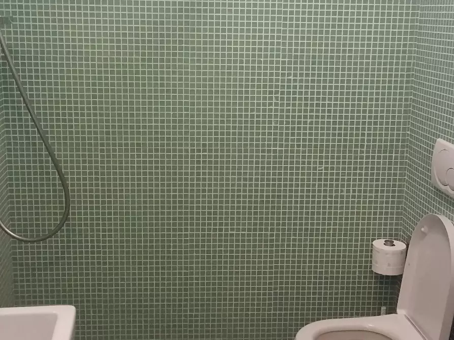 Immagine 9 di Appartamento in affitto  a Pisa