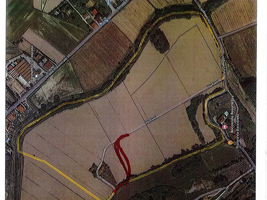 Immagine 24 di Casa colonica in vendita  a Montaione