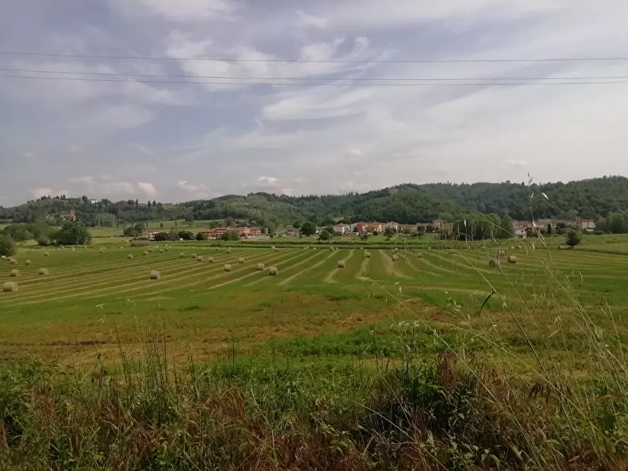 Immagine 1 di Terreno agricolo in vendita  a Montaione