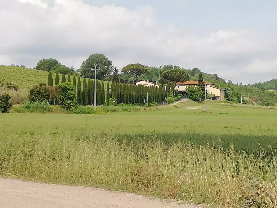 Immagine 6 di Terreno agricolo in vendita  a Montaione