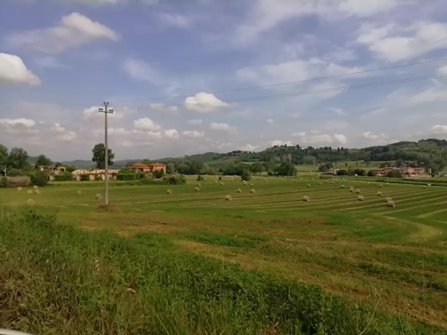 Immagine 5 di Terreno agricolo in vendita  a Montaione