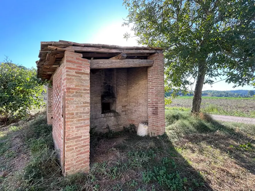 Immagine 50 di Azienda agricola in vendita  a Montaione