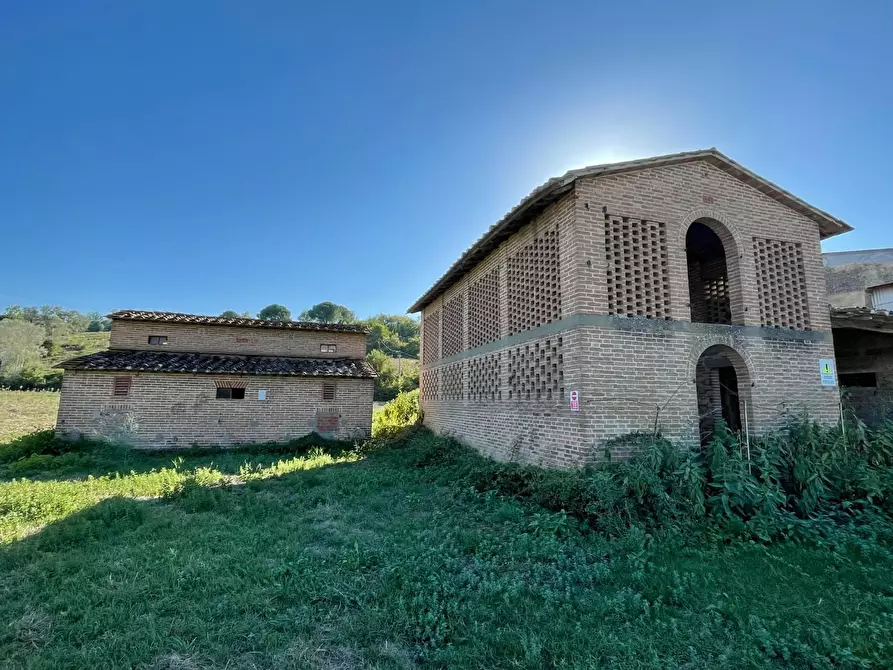 Immagine 46 di Azienda agricola in vendita  a Montaione