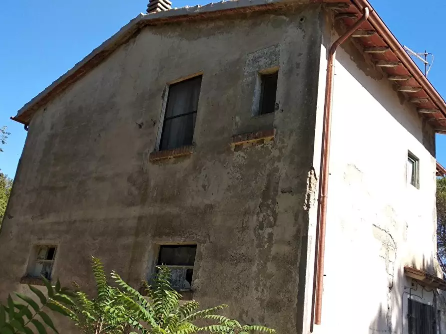 Immagine 7 di Casa colonica in vendita  a Scansano