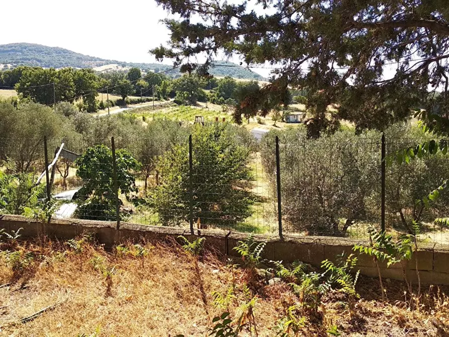 Immagine 8 di Casa colonica in vendita  a Scansano