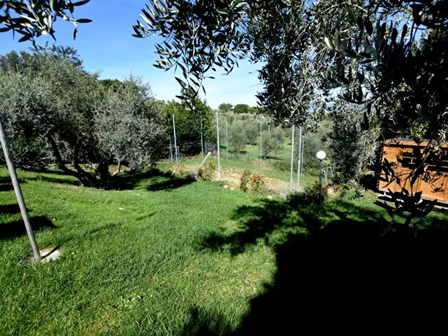 Immagine 20 di Casa bifamiliare in vendita  a Fauglia