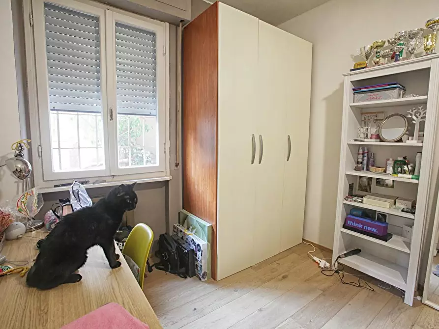 Immagine 13 di Appartamento in vendita  a Pisa