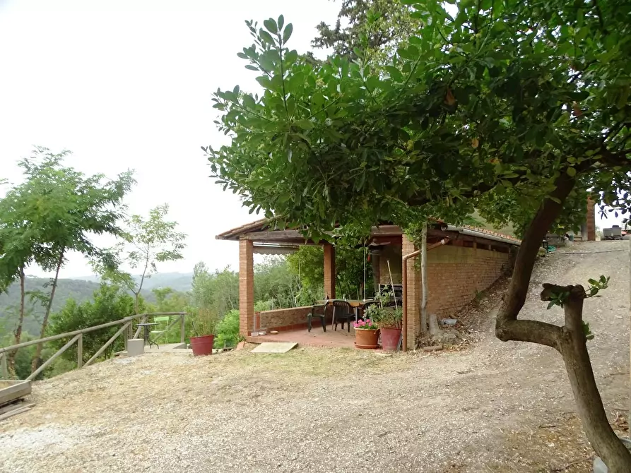 Immagine 8 di Porzione di casa in vendita  a Palaia