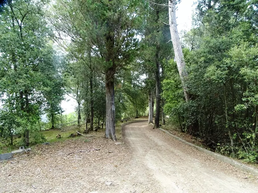 Immagine 56 di Porzione di casa in vendita  a Palaia