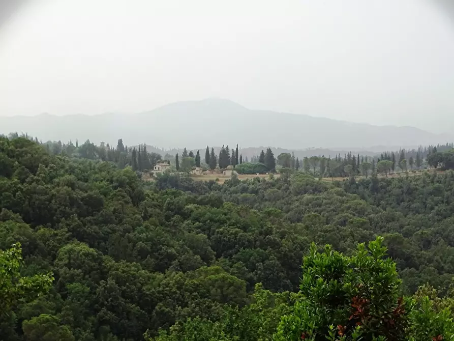 Immagine 13 di Porzione di casa in vendita  a Palaia