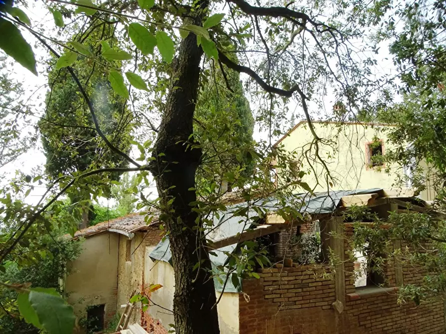 Immagine 55 di Porzione di casa in vendita  a Palaia