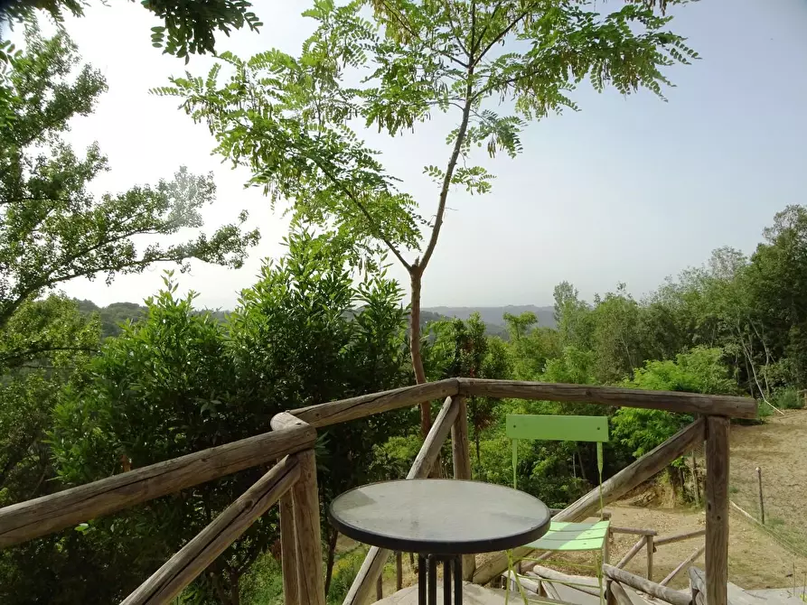 Immagine 14 di Porzione di casa in vendita  a Palaia