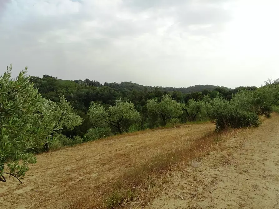 Immagine 64 di Porzione di casa in vendita  a Palaia