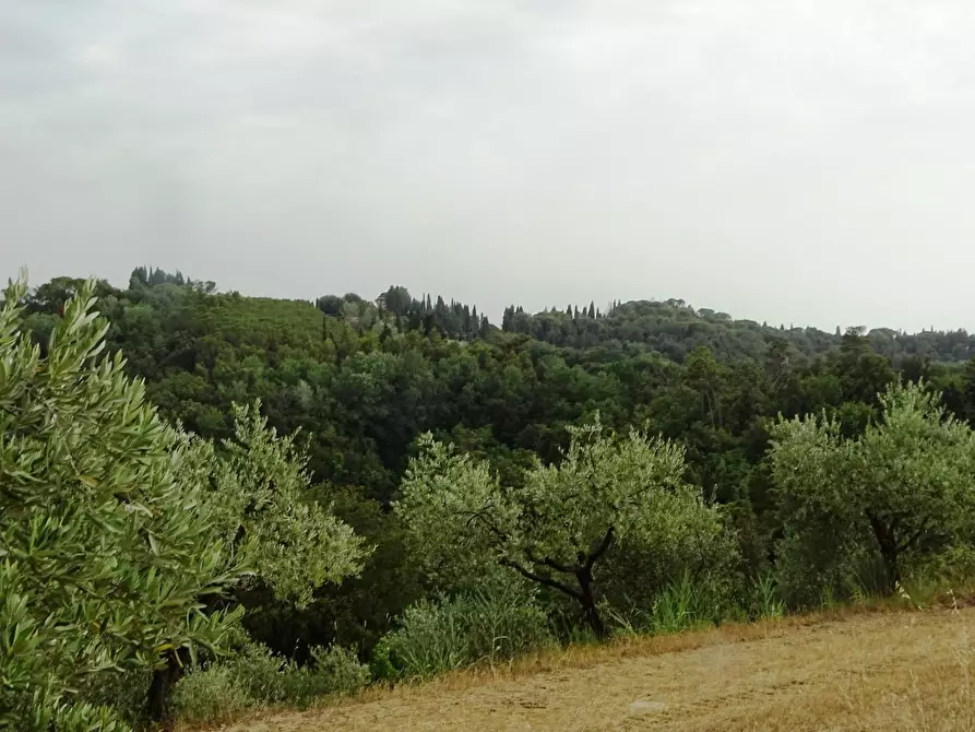 Immagine 66 di Porzione di casa in vendita  a Palaia