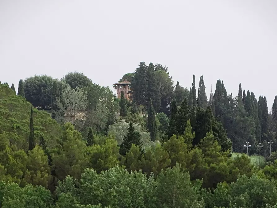 Immagine 65 di Porzione di casa in vendita  a Palaia