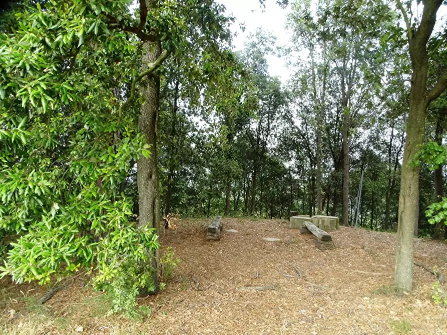 Immagine 67 di Porzione di casa in vendita  a Palaia