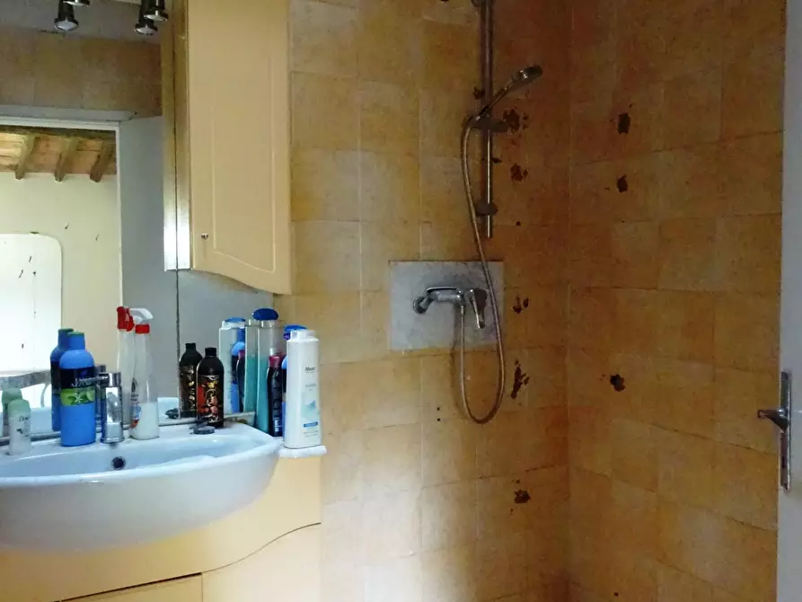 Immagine 48 di Porzione di casa in vendita  a Palaia