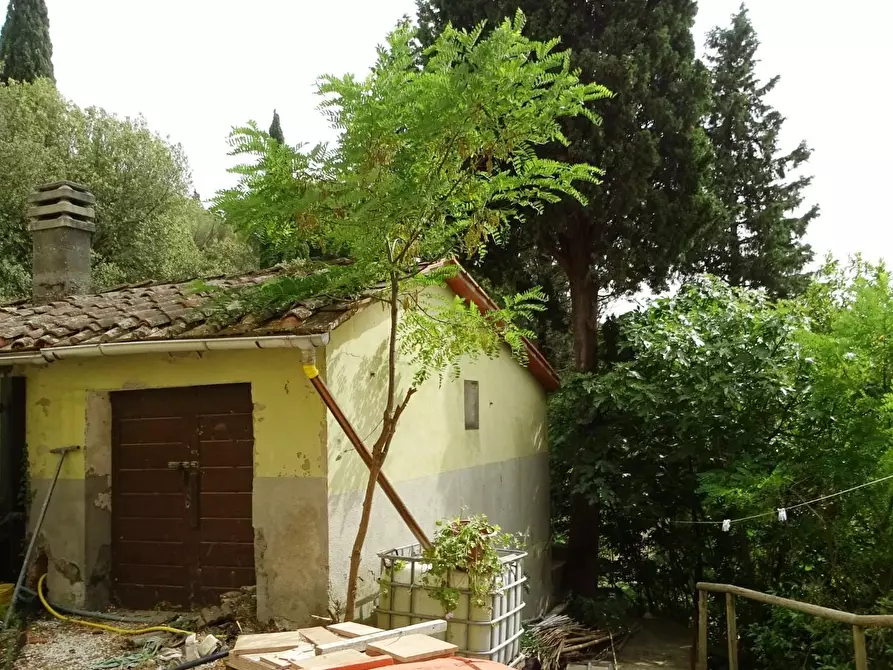 Immagine 19 di Porzione di casa in vendita  a Palaia