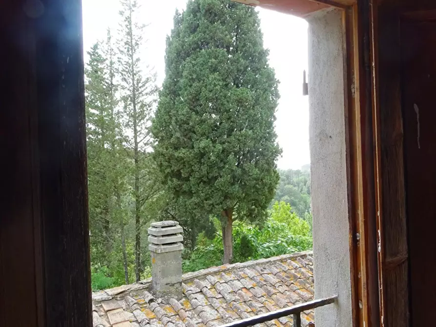 Immagine 41 di Porzione di casa in vendita  a Palaia
