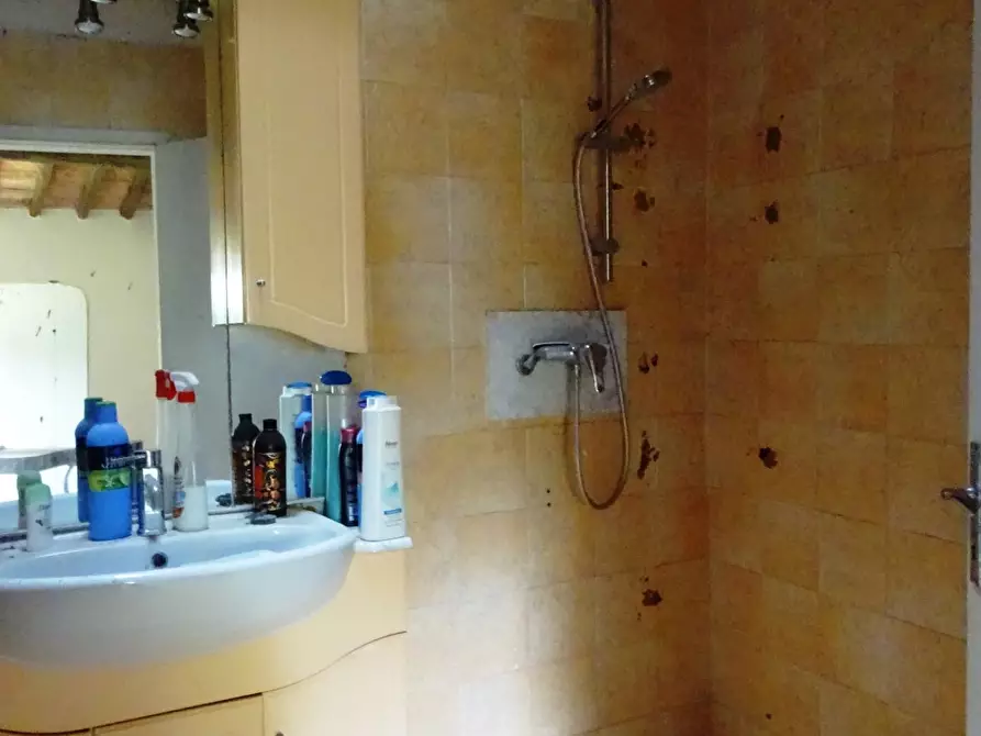 Immagine 49 di Porzione di casa in vendita  a Palaia