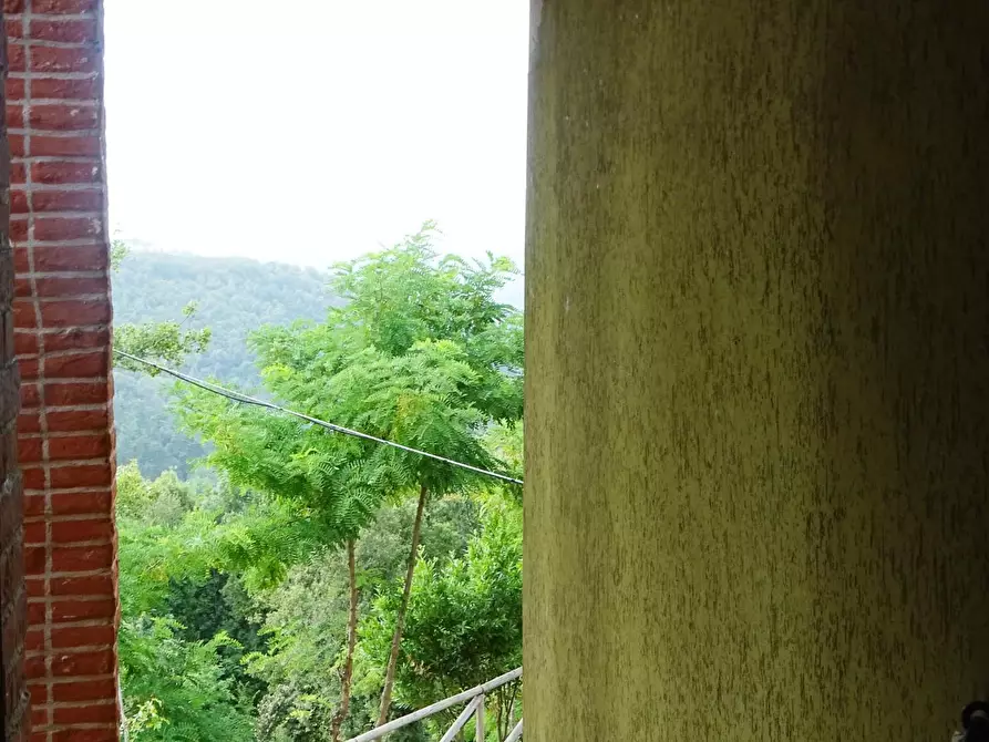 Immagine 53 di Porzione di casa in vendita  a Palaia