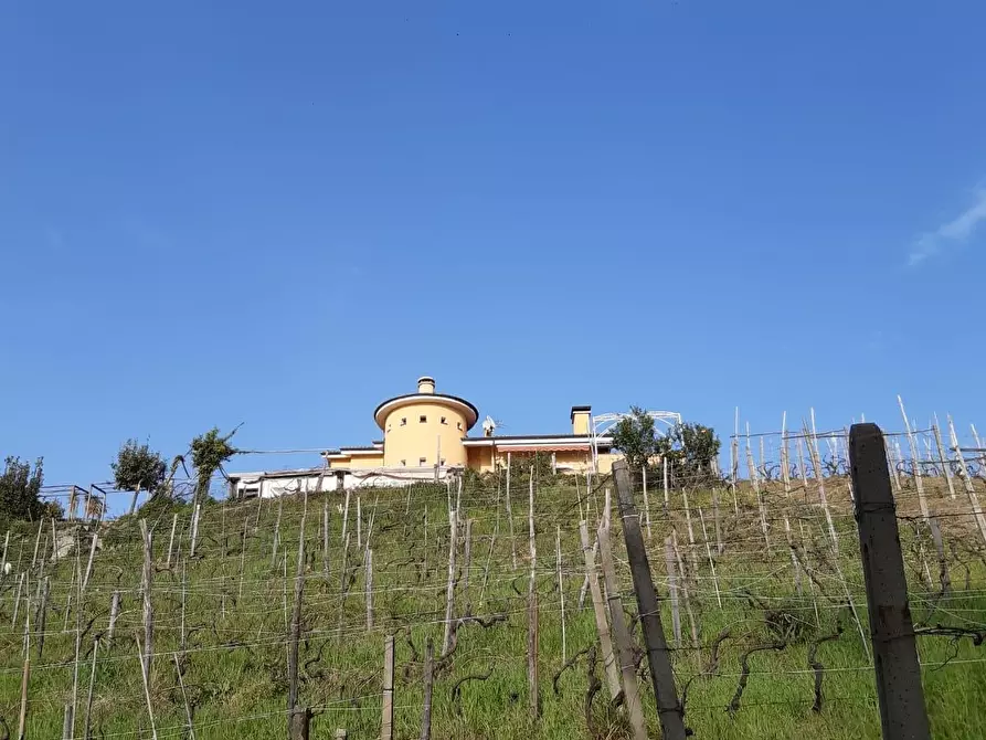Immagine 5 di Villa in vendita  a Massa