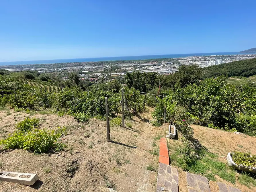 Immagine 64 di Villa in vendita  a Massa