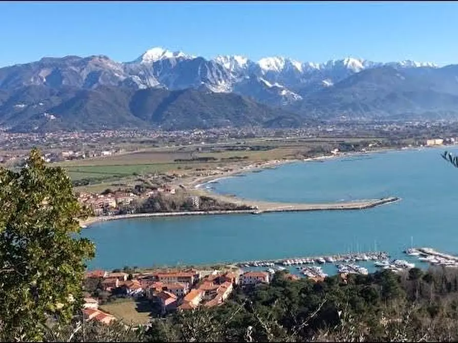 Immagine 8 di Appartamento in affitto  a Ameglia