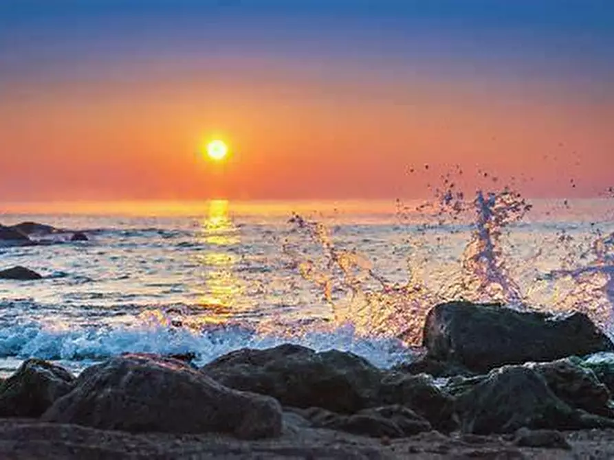 Immagine 7 di Appartamento in affitto  a Ameglia