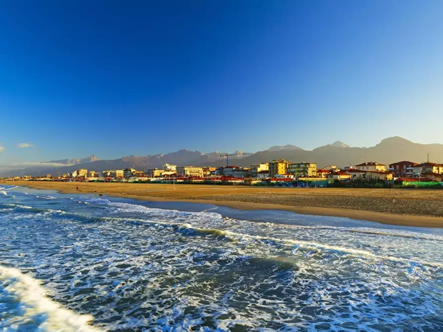 Immagine 3 di Attività commerciale in vendita  a Camaiore