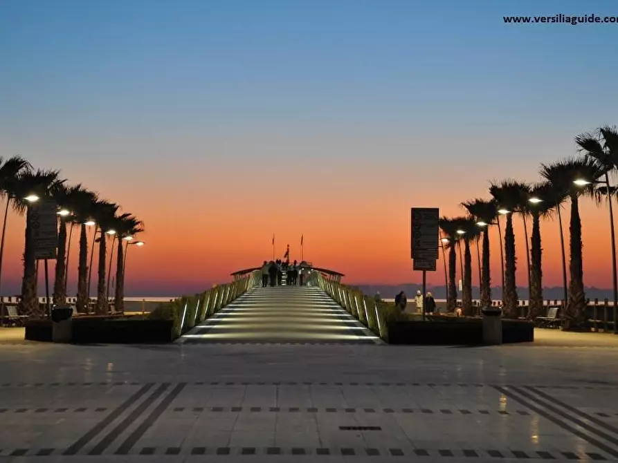 Immagine 2 di Attività commerciale in vendita  a Camaiore