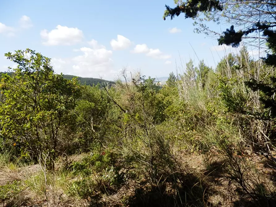 Immagine 1 di Villa in vendita  a Casciana Terme Lari