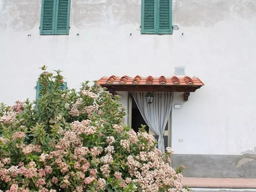 Immagine 2 di Terratetto in vendita  a Cerreto Guidi