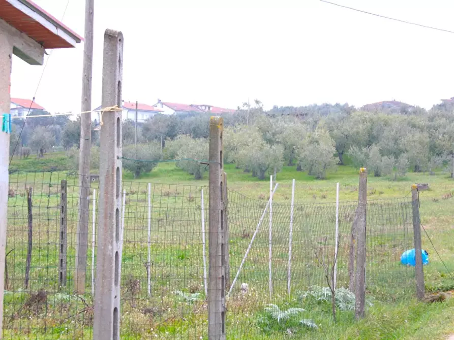 Immagine 4 di Terratetto in vendita  a Cerreto Guidi