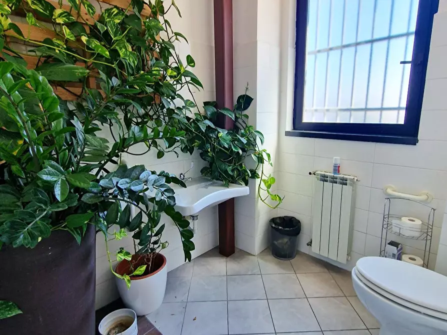 Immagine 19 di Ufficio in affitto  a San Giuliano Terme