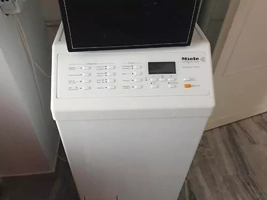 Immagine 24 di Appartamento in affitto  a Pisa