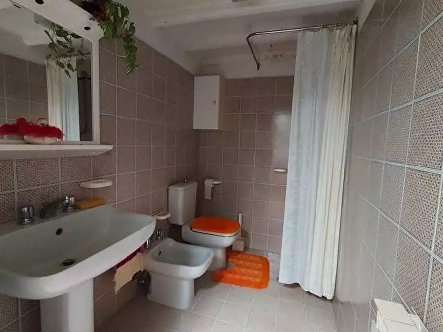 Immagine 21 di Casa colonica in vendita  a Capannori