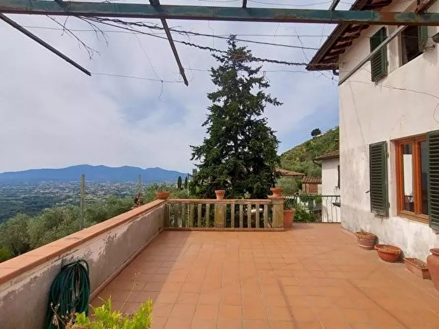 Immagine 11 di Casa colonica in vendita  a Capannori