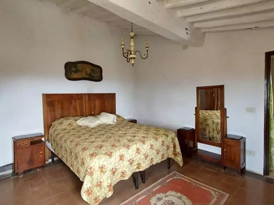 Immagine 14 di Casa colonica in vendita  a Capannori