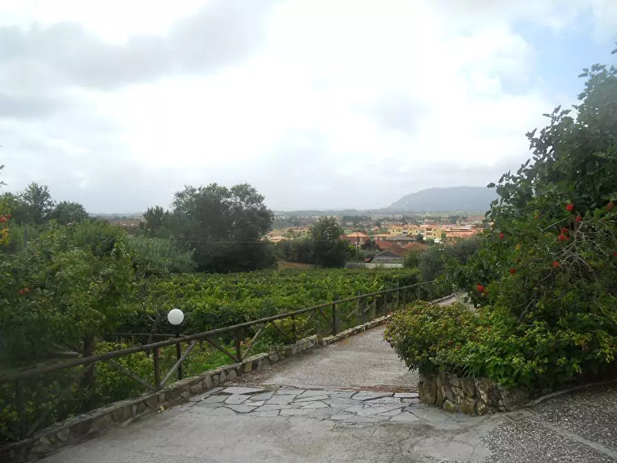 Immagine 56 di Villa in vendita  a Castelnuovo Magra