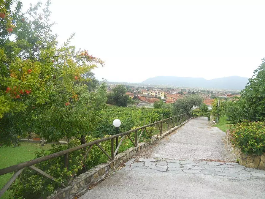 Immagine 5 di Villa in vendita  a Castelnuovo Magra
