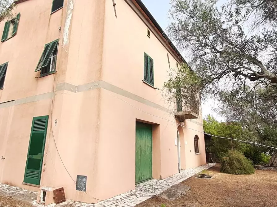 Immagine 1 di Albergo/B&B/Residence in vendita  a Suvereto