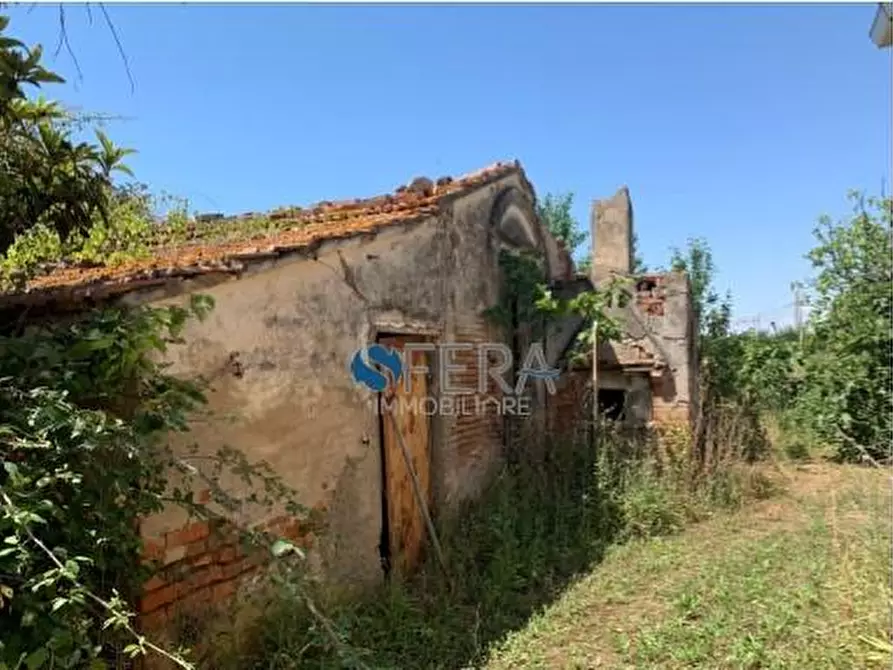 Immagine 1 di Terreno residenziale in vendita  a Bibbona