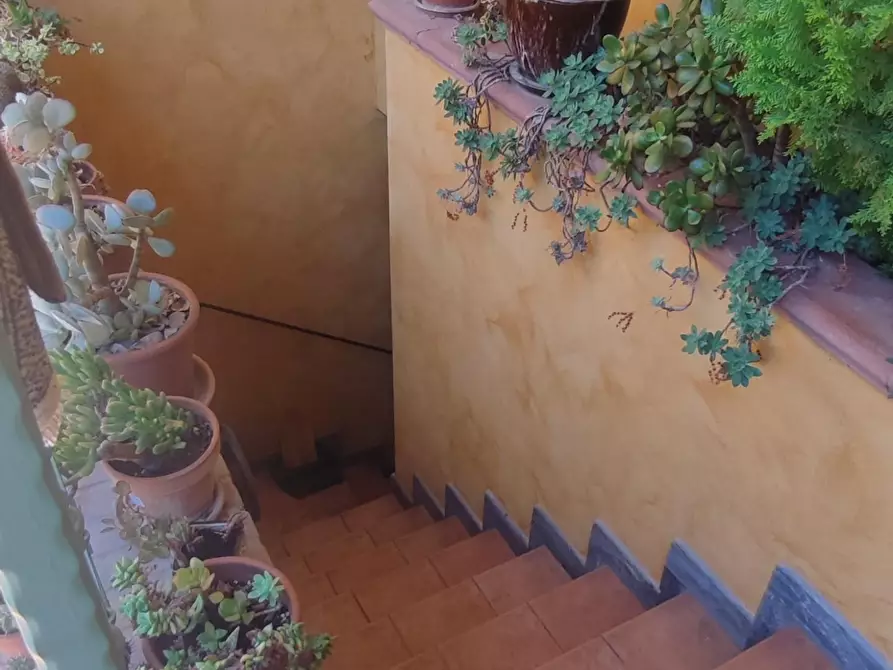 Immagine 9 di Casa bifamiliare in vendita  a Castelnuovo Magra