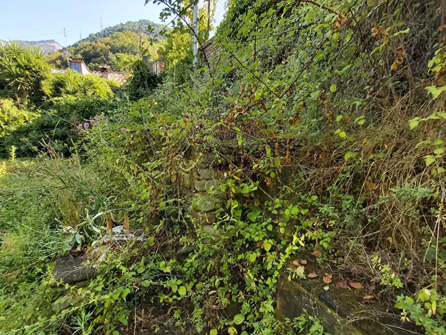 Immagine 29 di Casa semindipendente in vendita  a Carrara