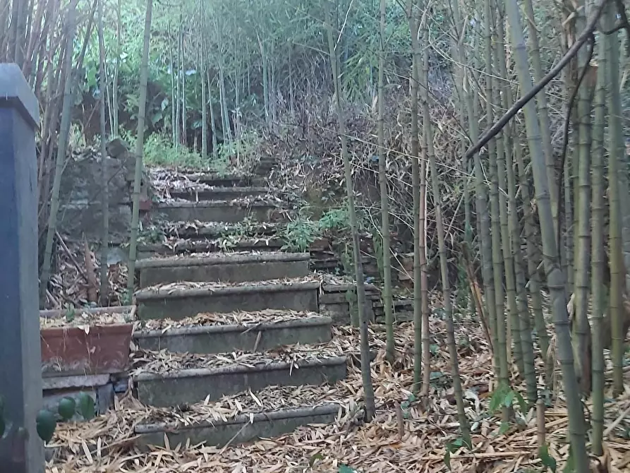 Immagine 70 di Casa semindipendente in vendita  a Carrara