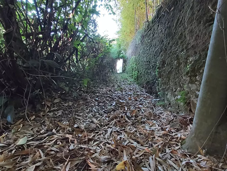Immagine 20 di Casa semindipendente in vendita  a Carrara